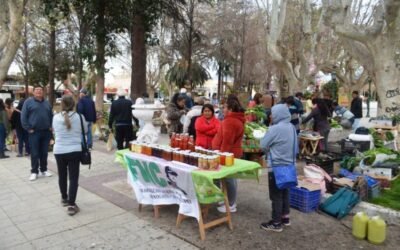 Extensión | Feria Agroecológica y cierre de proyecto