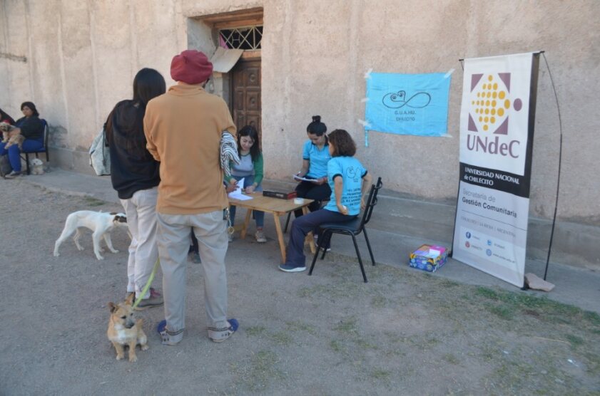 Extensión | Campaña de esterilización de mascotas en Chilecito y Famatina