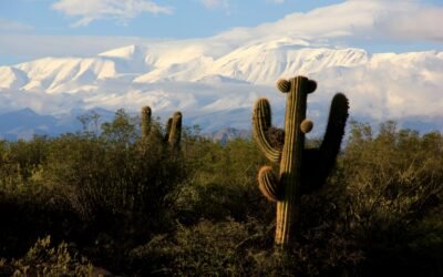 Conferencia | Nuevas formas Neocoloniales en la Gobernanza Patrimonial de la Naturaleza