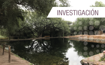 Investigación | Seminario IAMRA