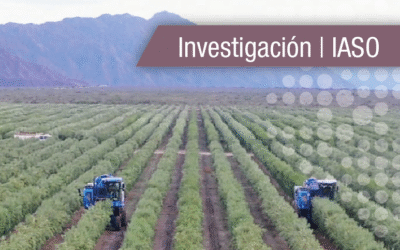 Investigación | Jornada Internacional de Actualización Técnica en Genética del Olivo para modelos de producción vegetal eficientes. Avances y retos