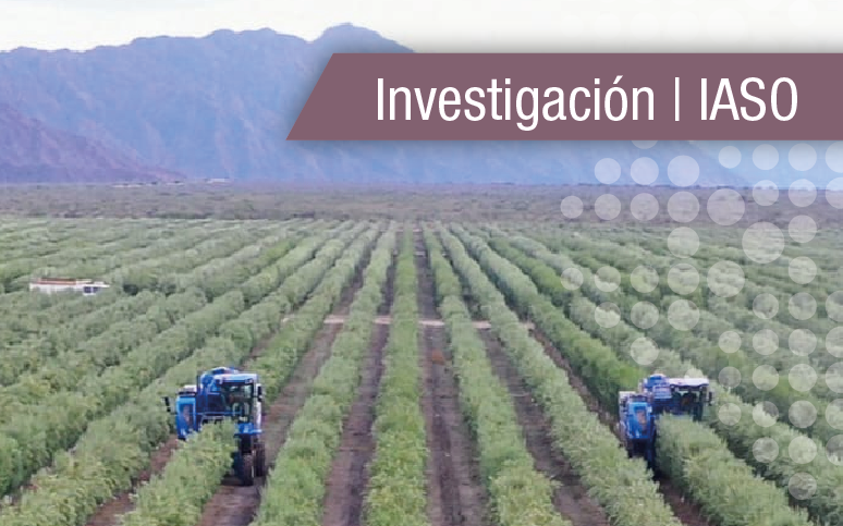 Investigación | Jornada Internacional de Actualización Técnica en Genética del Olivo para modelos de producción vegetal eficientes. Avances y retos