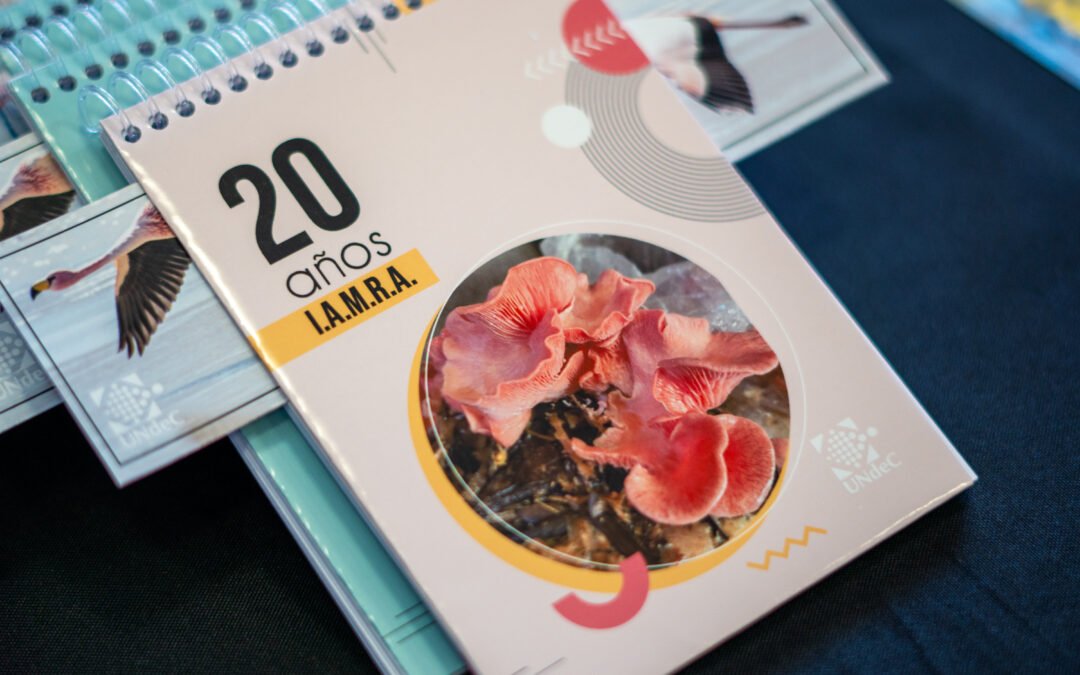 INVESTIGACIÓN | Cierre de actividades por el 20° aniversario del IAMRA