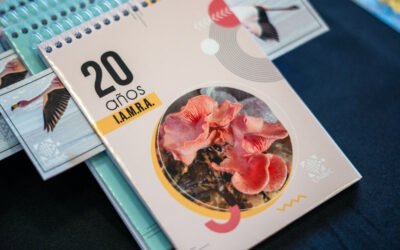 INVESTIGACIÓN | Cierre de actividades por el 20° aniversario del IAMRA