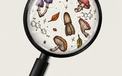 La Universidad lanza la Diplomatura Superior en Micología Avanzada