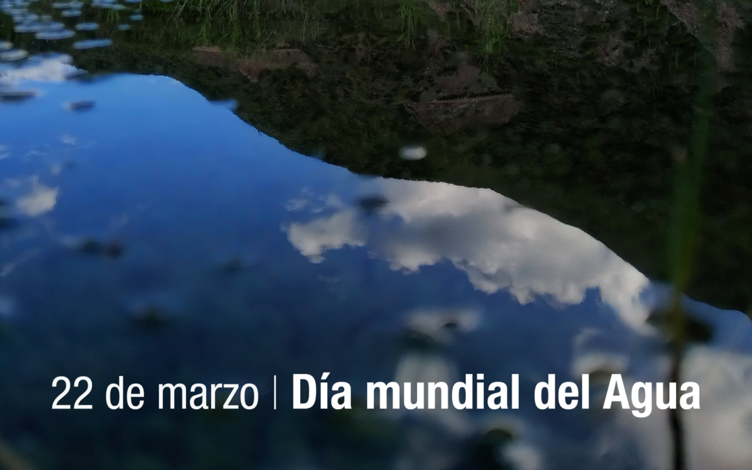 Efemérides IAMRA | Dia Mundial del Agua