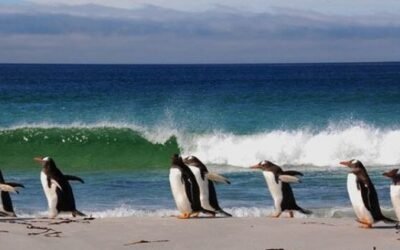 Efemérides: 2 de Abril «Día del Veterano y de los caídos en la Guerra de Malvinas»