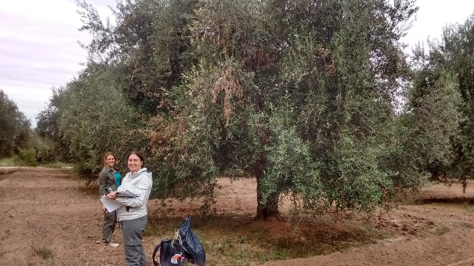 Rama Seca-Ratalino Barnes 3