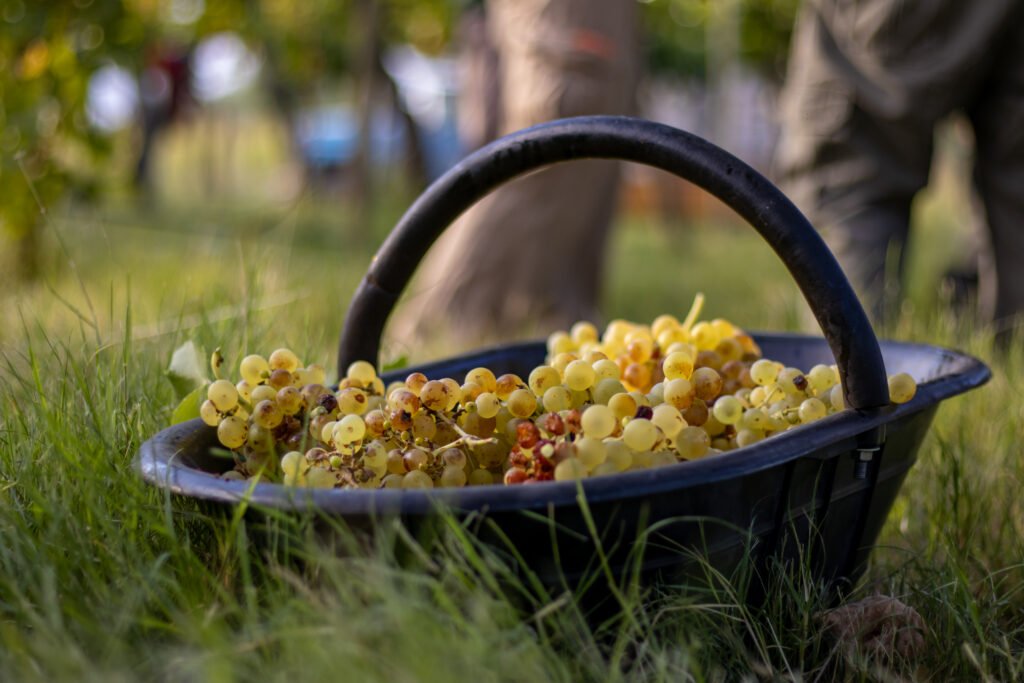 Firma de convenios con el sector productivo