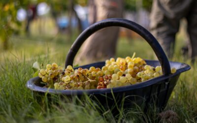 La UNdeC fortalece vínculos con el sector productivo para potenciar la formación de sus estudiantes