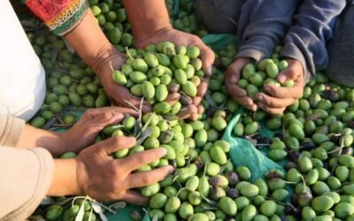 Jornada de Actualización en Producción Orgánica en la UNdeC