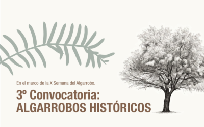 INVESTIGACIÓN | Convocatoria «Algarrobos históricos»