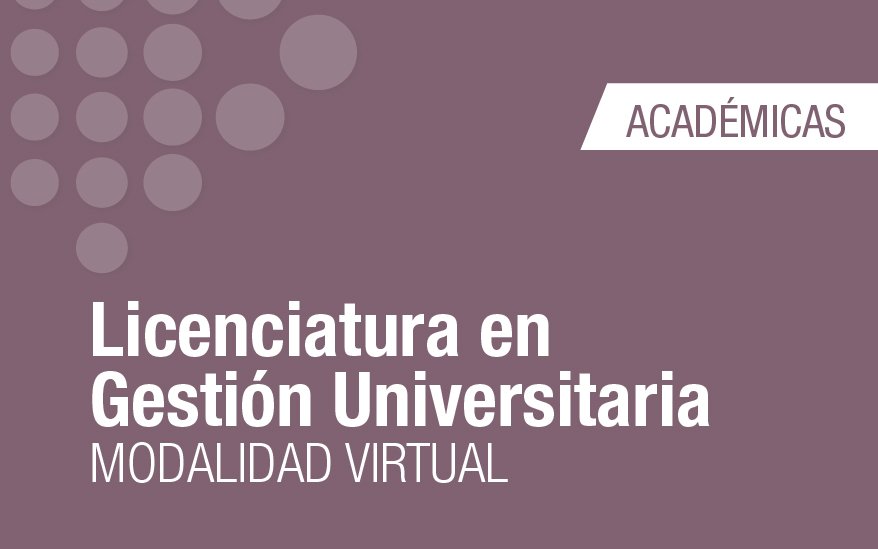 LIC GESTION UNIV_WEB