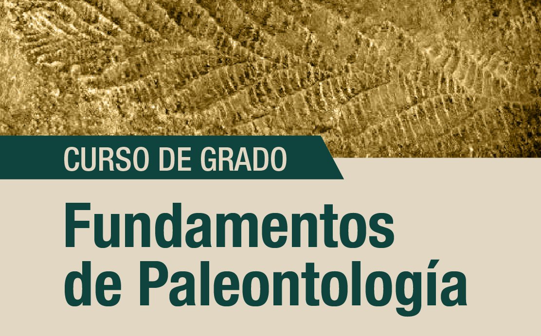 curso fundamentos paleontología-10 (1)
